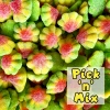 Not Specified Sour Volcanoes 100g (Pick N Mix) 2 Not Specified Sour Volcanoes 100g (Pick N Mix)