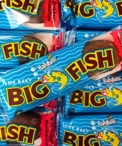 Rainbow Chocolate Fish BIG Raspberry