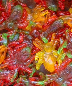 Not Specified Giant Spider Approx 5 Gummies