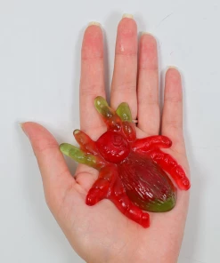 Not Specified Giant Spider Approx 5 Gummies 5 Not Specified Giant Spider Approx 5 Gummies