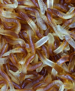 Not Specified Cola Worms Gummies