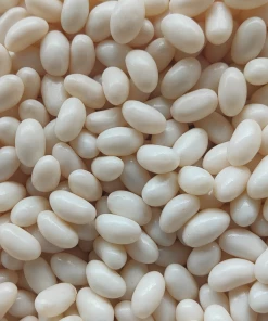 LollyShop Jelly Beans (Imported Single Colour)