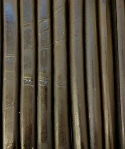 LollyShop Licorice Roll Black 5's