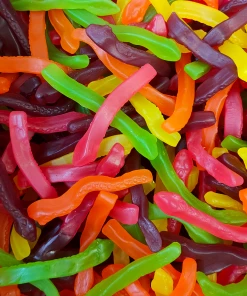 Not Specified Manufacturer's Clearance Snakes (Manufacturers Clearance)