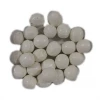 LollyShop Bee Sugar Free Granny Mints 80g