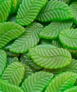Maycey Old Fashioned Giant Spearmint Leaves